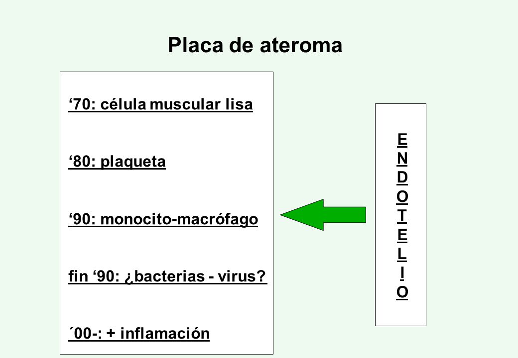 Placa de ateroma ‘70: célula muscular lisa E ‘80: plaqueta N D O
