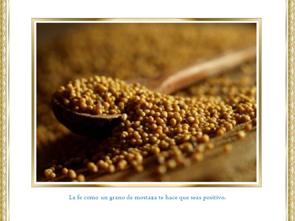 La fe como un grano de mostaza te hace que seas positivo.