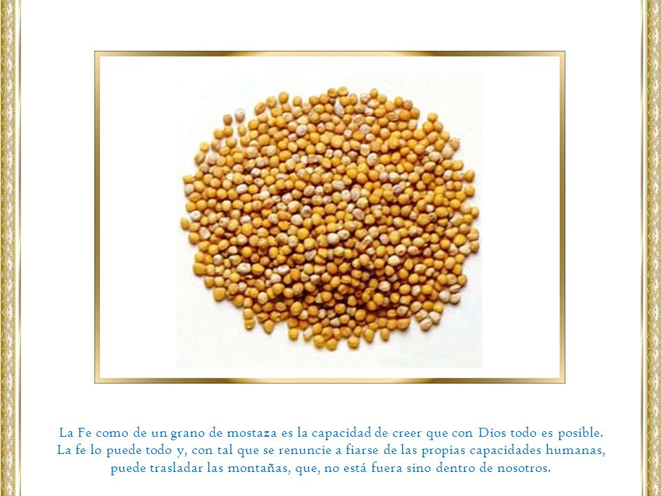 La Fe como de un grano de mostaza es la capacidad de creer que con Dios todo es posible.