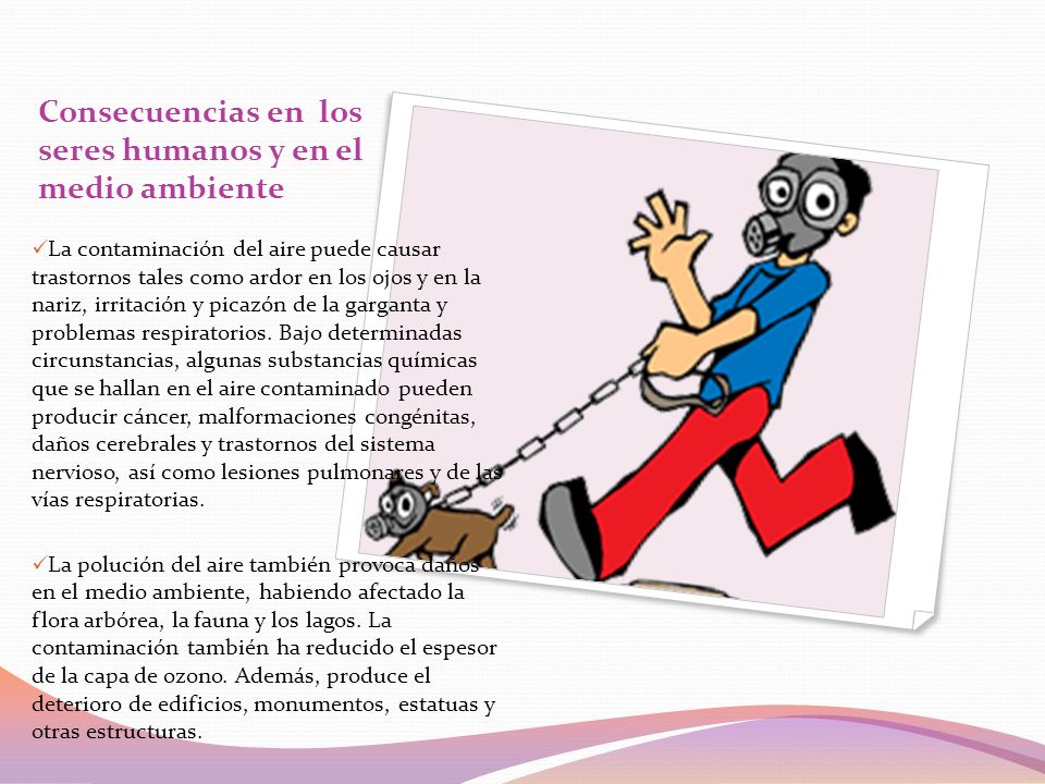 Consecuencias en los seres humanos y en el medio ambiente
