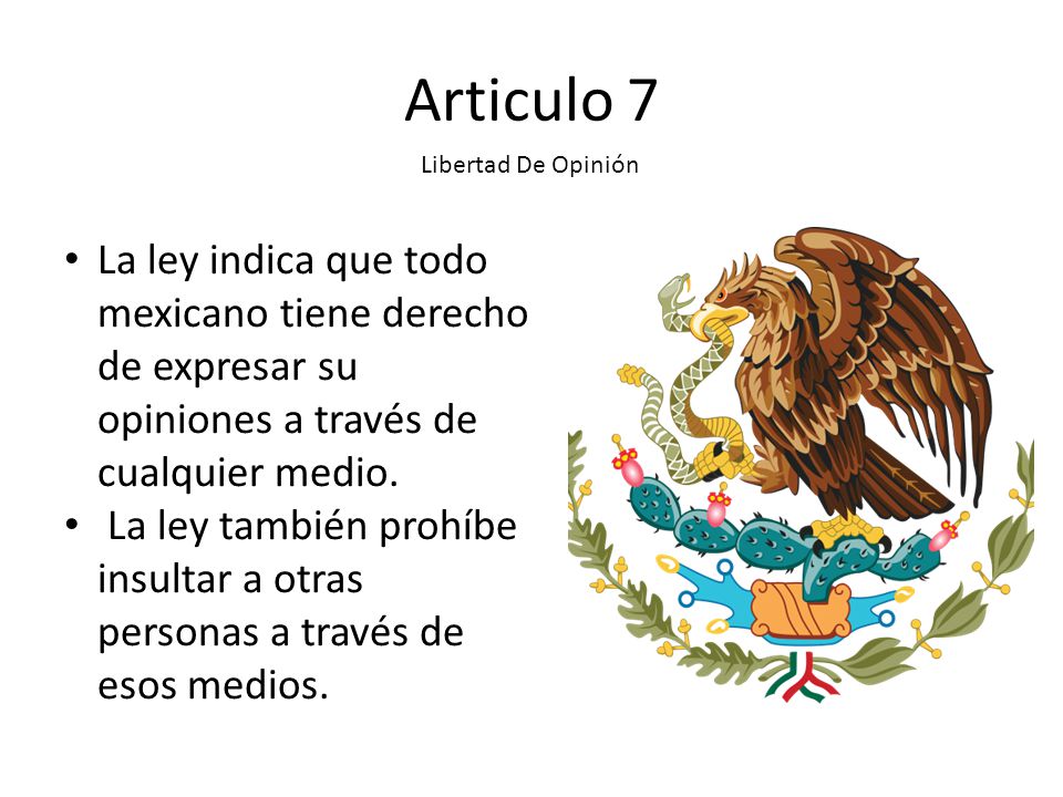Articulo 7 Libertad De Opinión. La ley indica que todo mexicano tiene derecho de expresar su opiniones a través de cualquier medio.