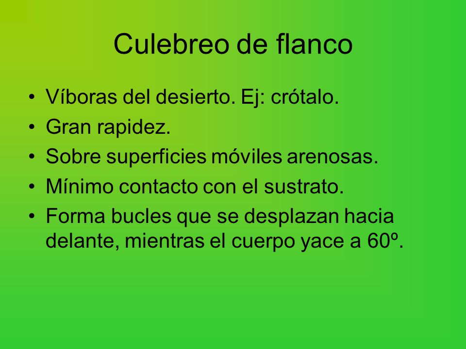 Culebreo de flanco Víboras del desierto. Ej: crótalo. Gran rapidez.