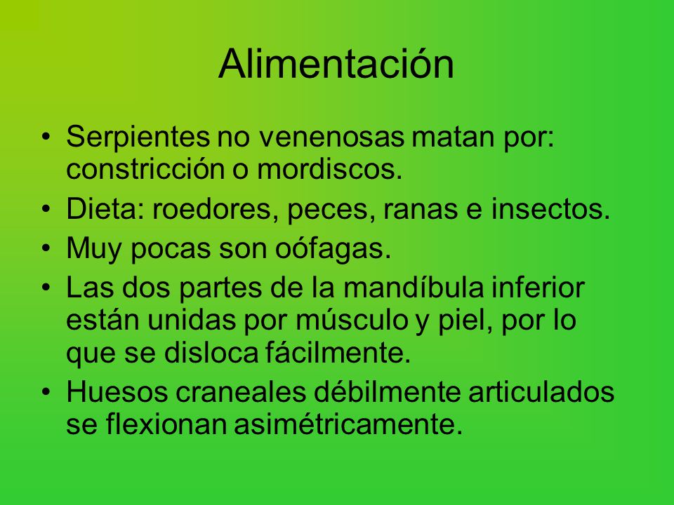Alimentación Serpientes no venenosas matan por: constricción o mordiscos. Dieta: roedores, peces, ranas e insectos.