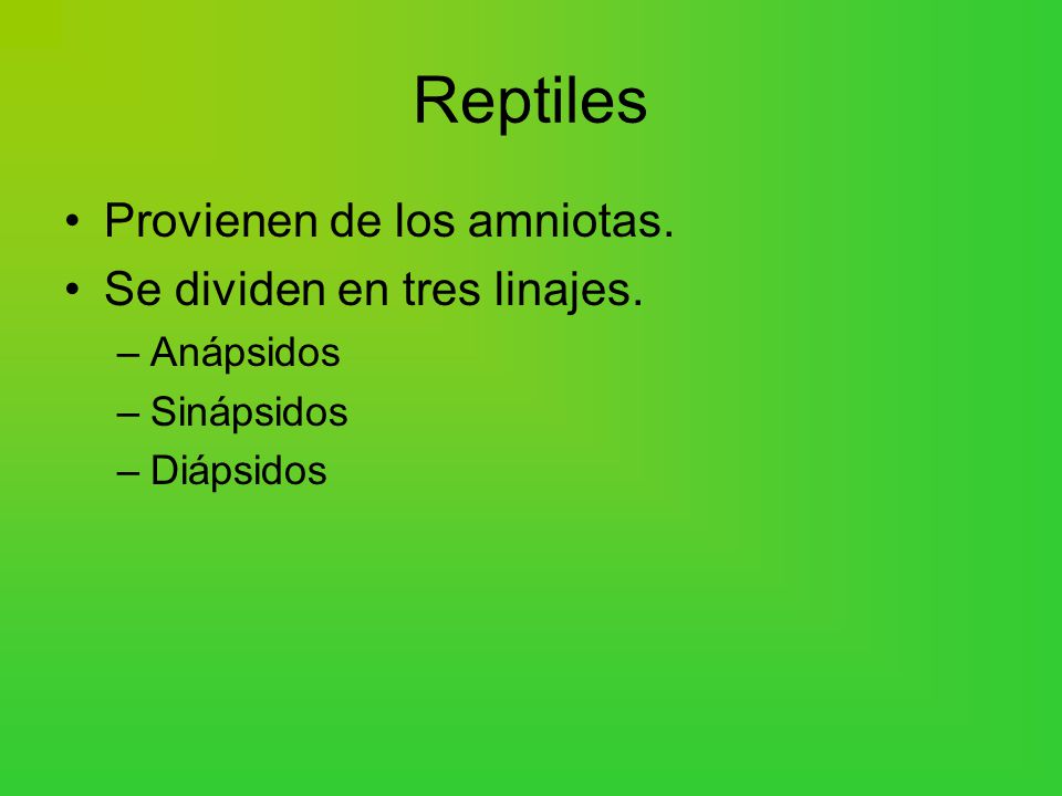 Reptiles Provienen de los amniotas. Se dividen en tres linajes.