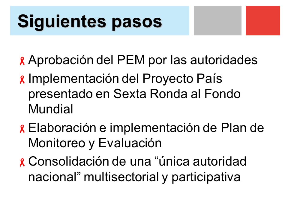 Siguientes pasos Aprobación del PEM por las autoridades