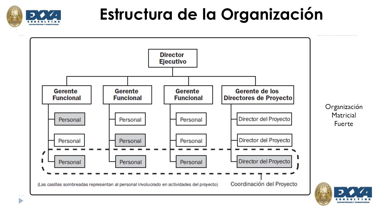 Estructura de la Organización