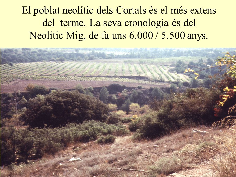 El poblat neolític dels Cortals és el més extens del terme