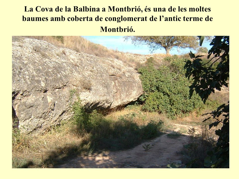 La Cova de la Balbina a Montbrió, és una de les moltes baumes amb coberta de conglomerat de l’antic terme de Montbrió.