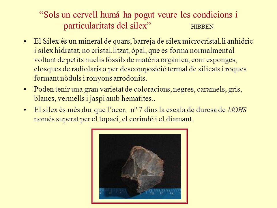 Sols un cervell humá ha pogut veure les condicions i particularitats del sílex HIBBEN