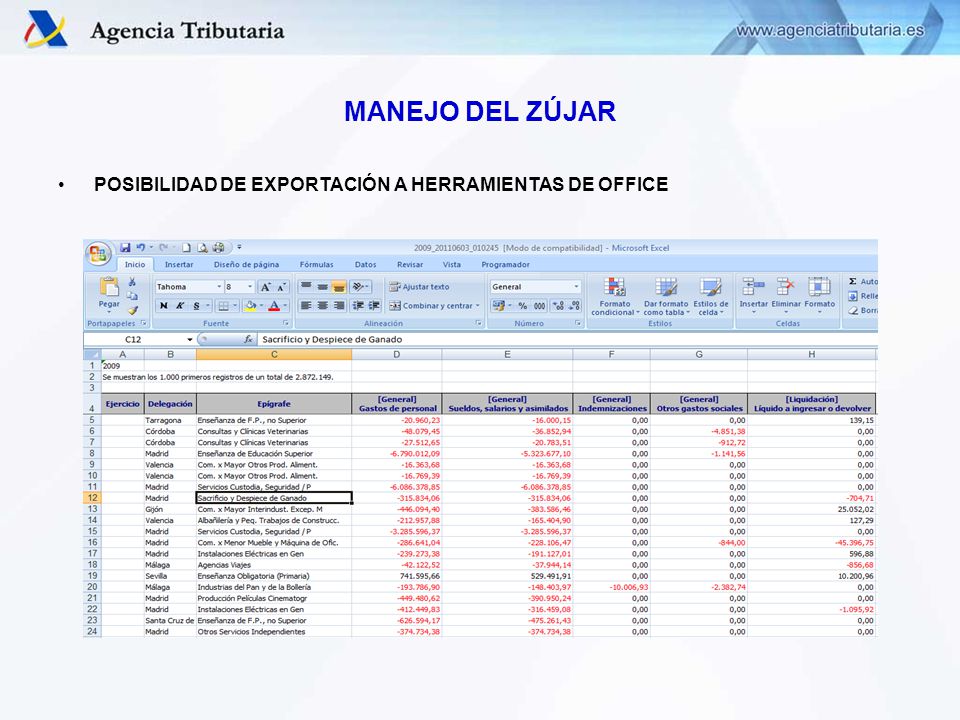 MANEJO DEL ZÚJAR POSIBILIDAD DE EXPORTACIÓN A HERRAMIENTAS DE OFFICE