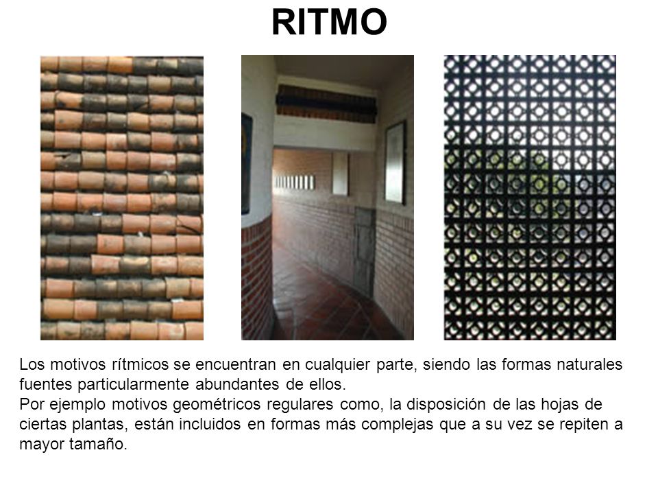 RITMO Los motivos rítmicos se encuentran en cualquier parte, siendo las formas naturales. fuentes particularmente abundantes de ellos.