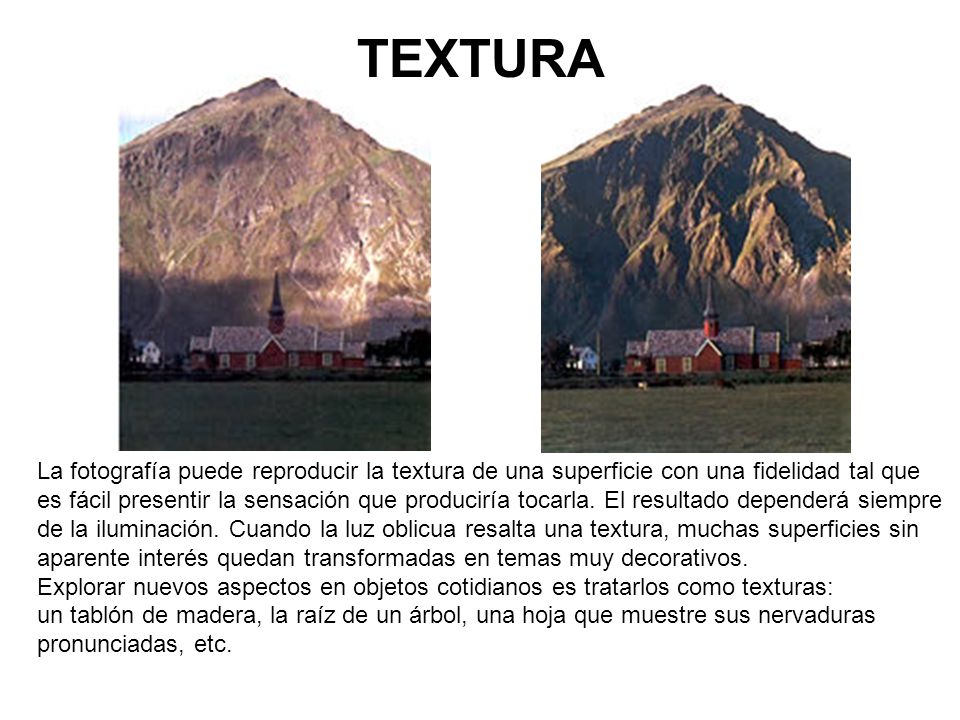 TEXTURA La fotografía puede reproducir la textura de una superficie con una fidelidad tal que.