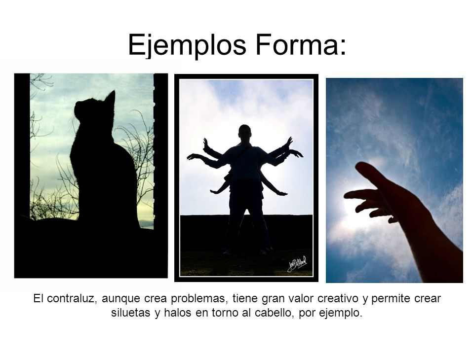 Ejemplos Forma: El contraluz, aunque crea problemas, tiene gran valor creativo y permite crear siluetas y halos en torno al cabello, por ejemplo.