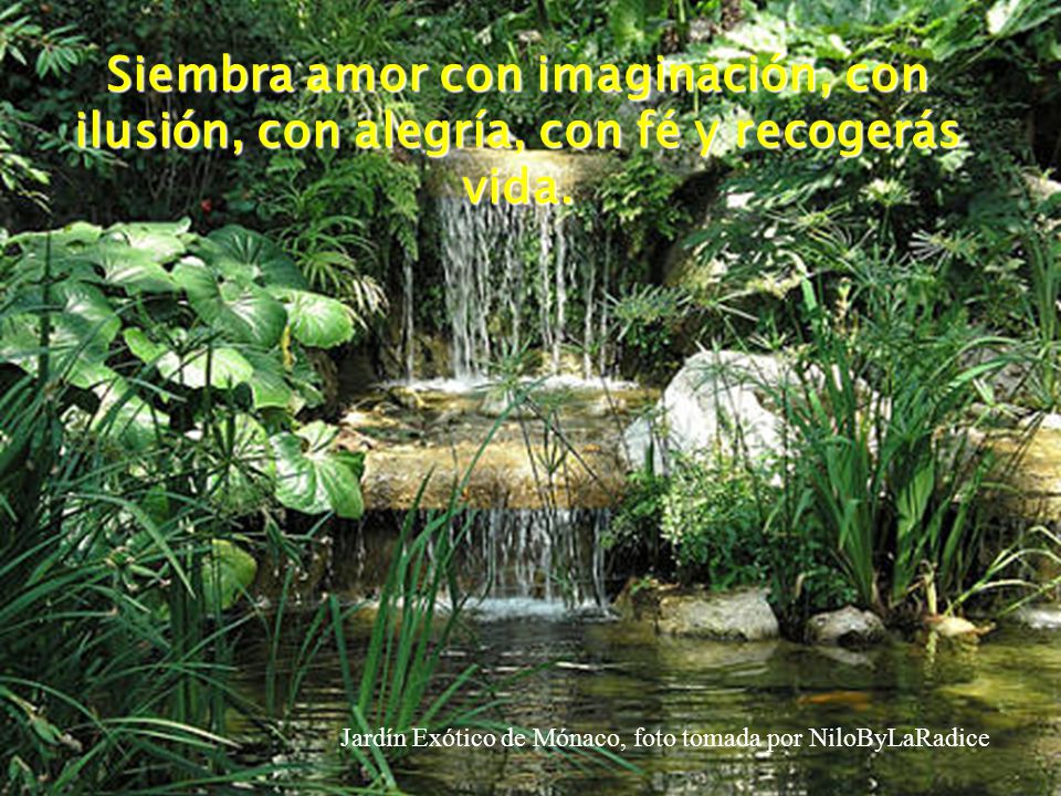 Siembra amor con imaginación, con ilusión, con alegría, con fé y recogerás vida.