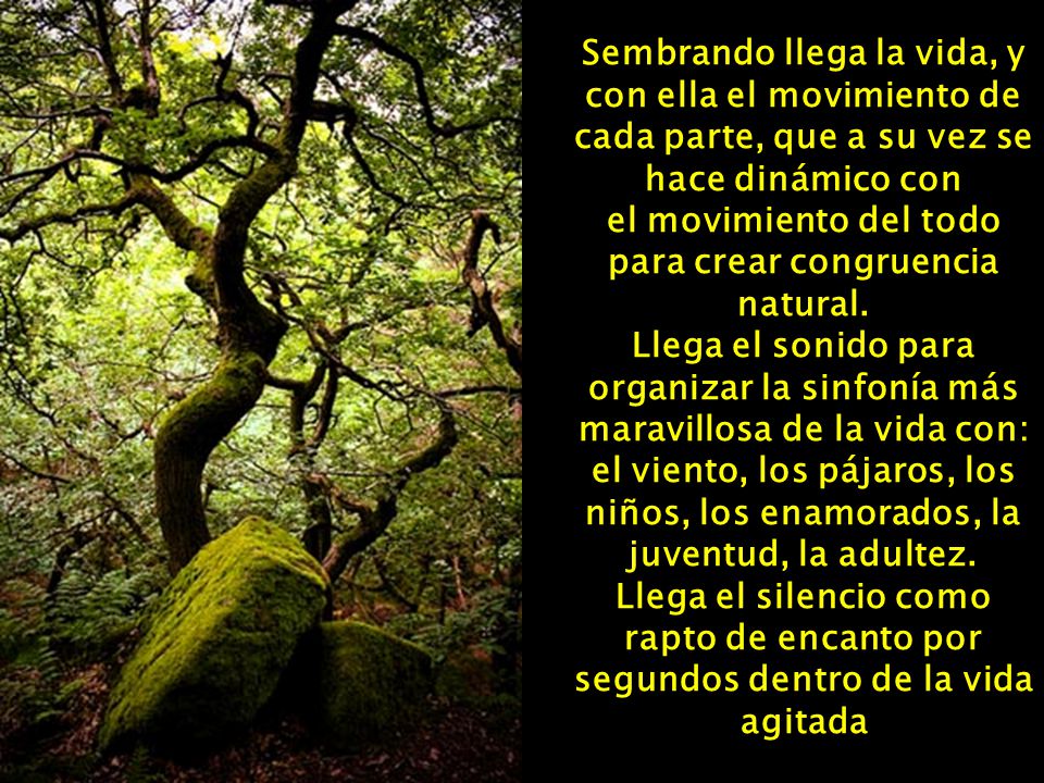 Sembrando llega la vida, y con ella el movimiento de