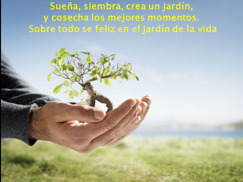 Sueña, siembra, crea un jardín, y cosecha los mejores momentos.