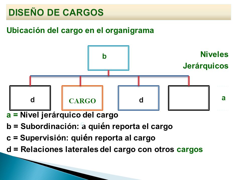 DISEÑO DE CARGOS Niveles Ubicación del cargo en el organigrama