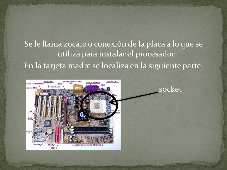 Se le llama zócalo o conexión de la placa a lo que se utiliza para instalar el procesador.