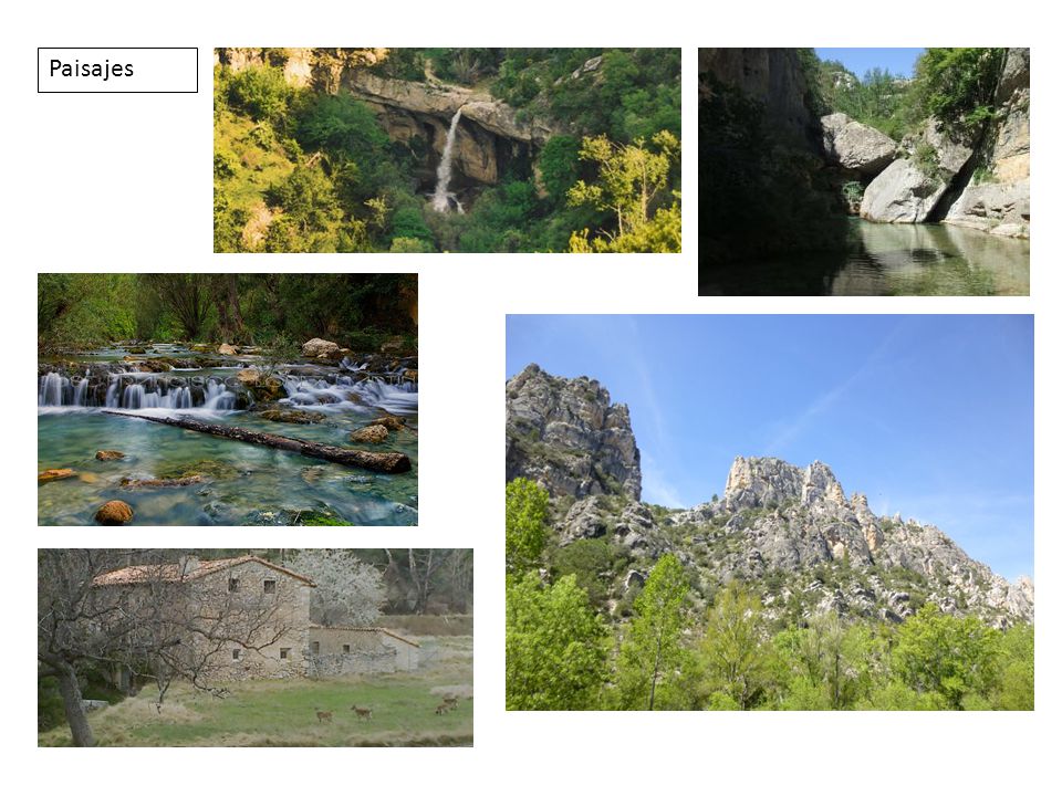 Paisajes