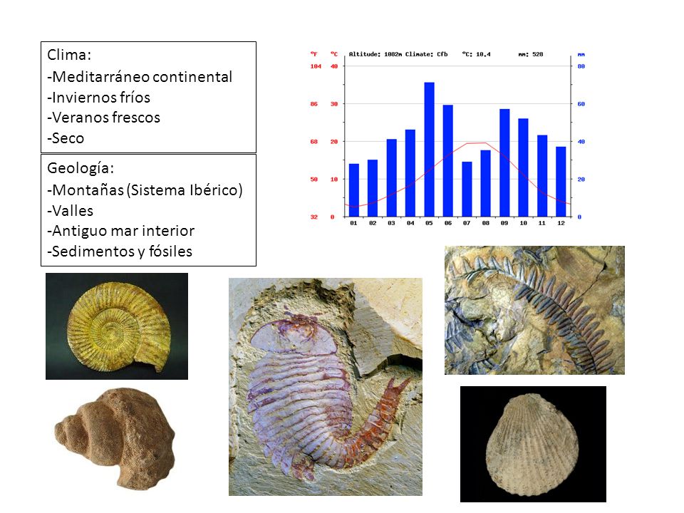 Clima: Meditarráneo continental. Inviernos fríos. Veranos frescos. Seco. Geología: Montañas (Sistema Ibérico)