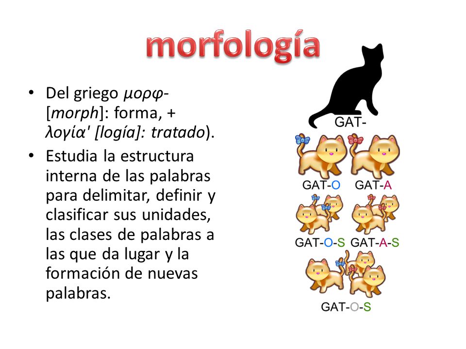 morfología Del griego μορφ- [morph]: forma, + λογία [logía]: tratado).