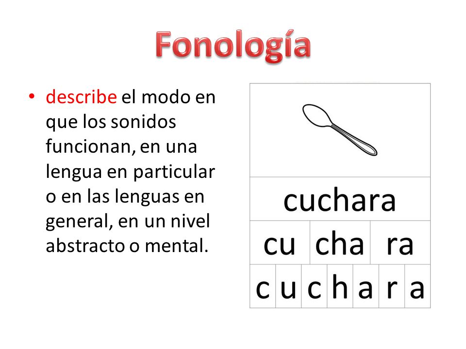 Fonología describe el modo en que los sonidos funcionan, en una lengua en particular o en las lenguas en general, en un nivel abstracto o mental.