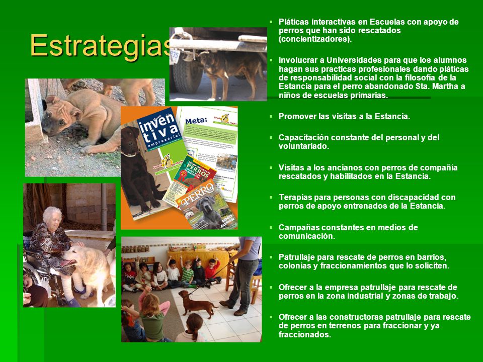 Estrategias Pláticas interactivas en Escuelas con apoyo de perros que han sido rescatados (concientizadores).