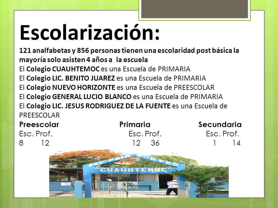 Escolarización: 121 analfabetas y 856 personas tienen una escolaridad post básica la mayoría solo asisten 4 años a la escuela.