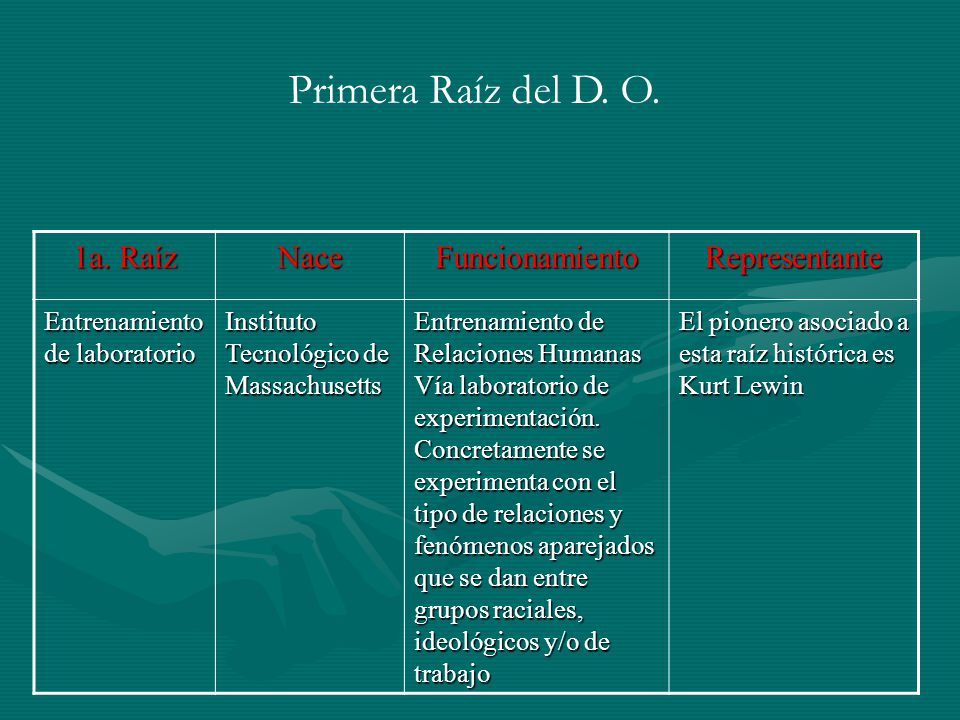 Primera Raíz del D. O. 1a. Raíz Nace Funcionamiento Representante