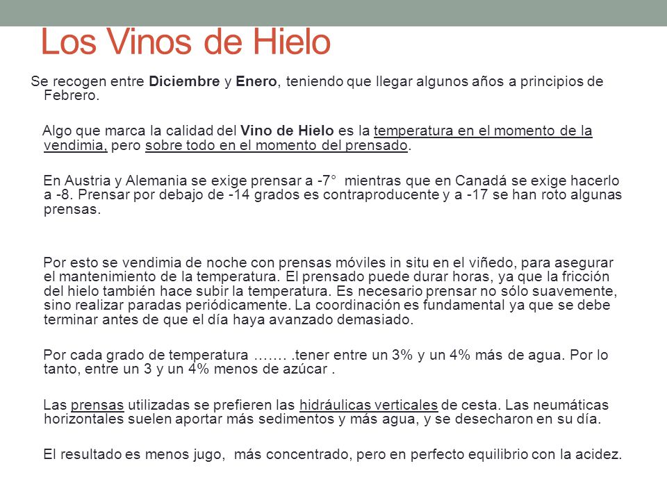 Los Vinos de Hielo Se recogen entre Diciembre y Enero, teniendo que llegar algunos años a principios de Febrero.