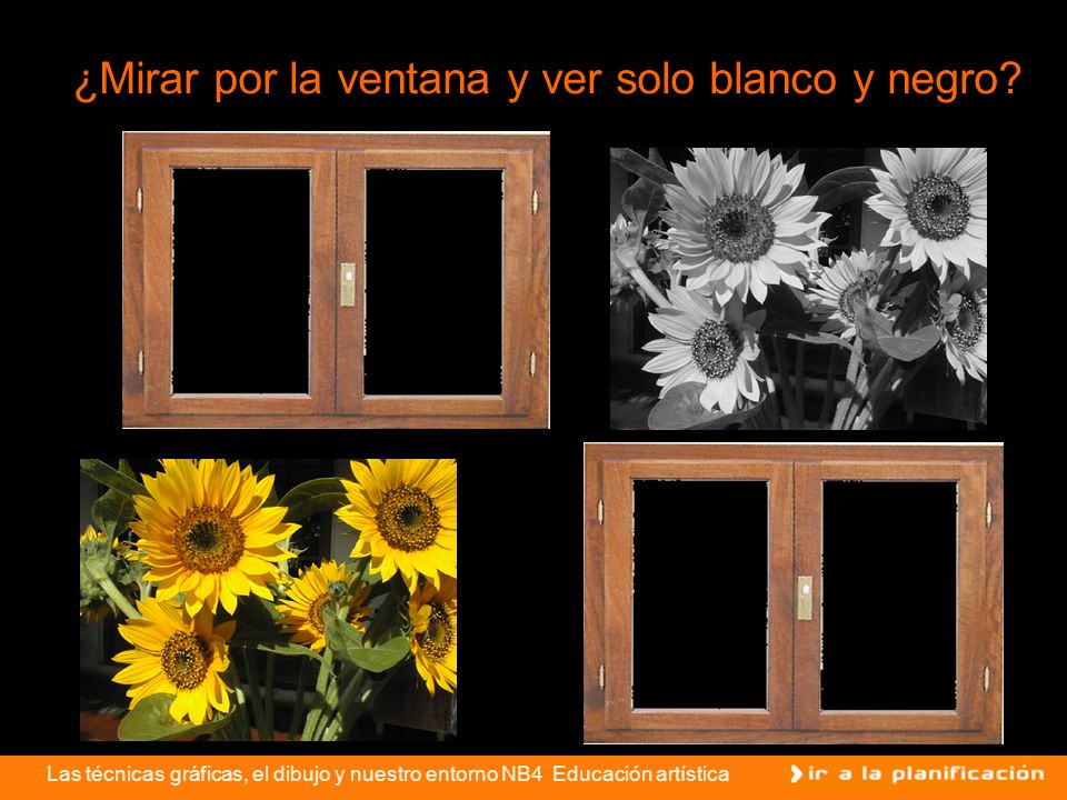 ¿Mirar por la ventana y ver solo blanco y negro