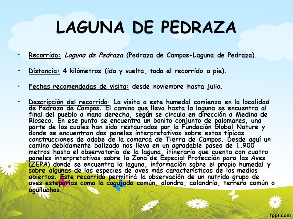 LAGUNA DE PEDRAZA Recorrido: Laguna de Pedraza (Pedraza de Campos-Laguna de Pedraza).
