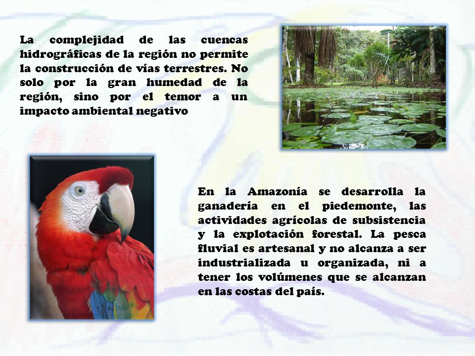 La complejidad de las cuencas hidrográficas de la región no permite la construcción de vías terrestres. No solo por la gran humedad de la región, sino por el temor a un impacto ambiental negativo