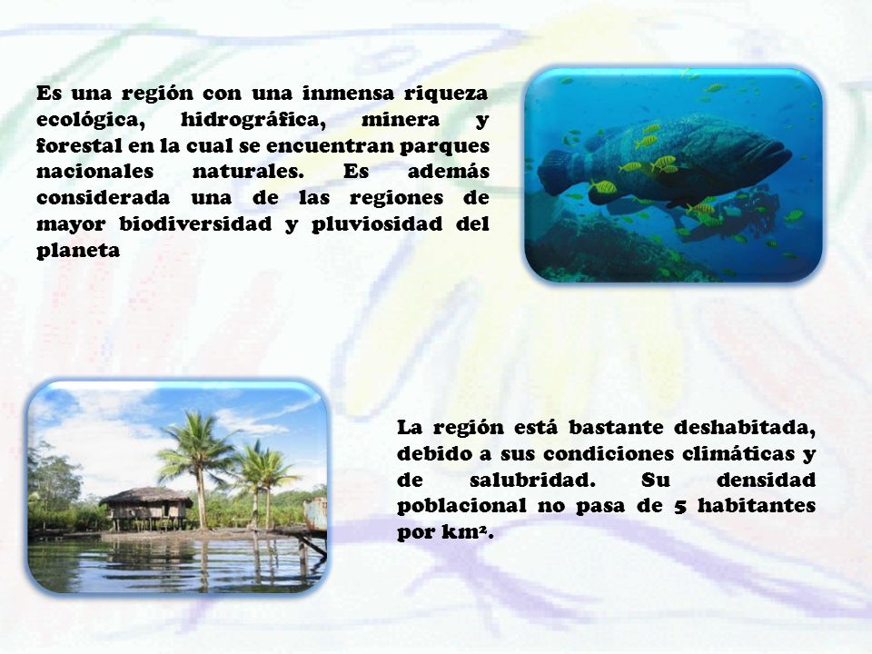 Es una región con una inmensa riqueza ecológica, hidrográfica, minera y forestal en la cual se encuentran parques nacionales naturales. Es además considerada una de las regiones de mayor biodiversidad y pluviosidad del planeta