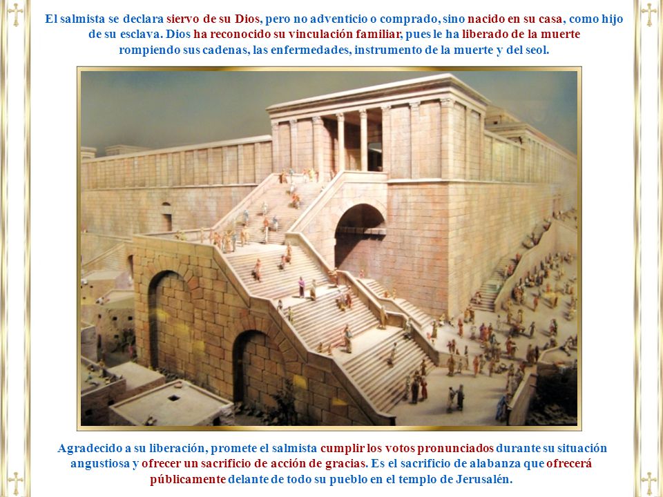 El salmista se declara siervo de su Dios, pero no adventicio o comprado, sino nacido en su casa, como hijo de su esclava. Dios ha reconocido su vinculación familiar, pues le ha liberado de la muerte