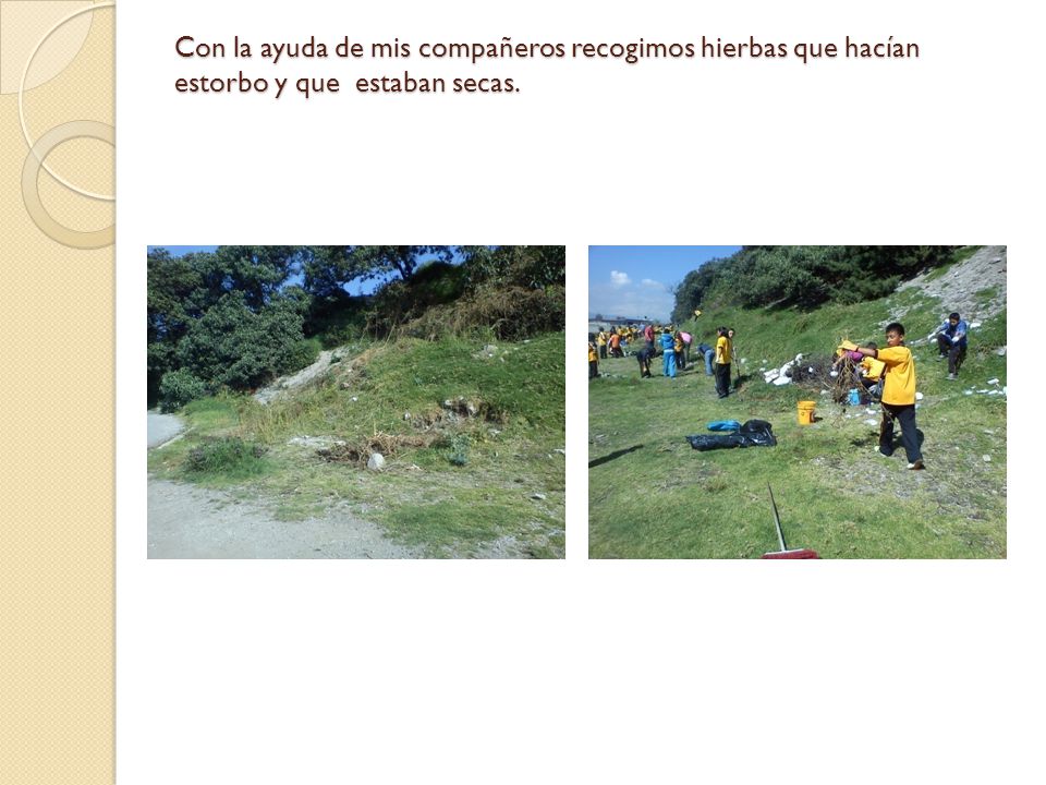 Con la ayuda de mis compañeros recogimos hierbas que hacían estorbo y que estaban secas.