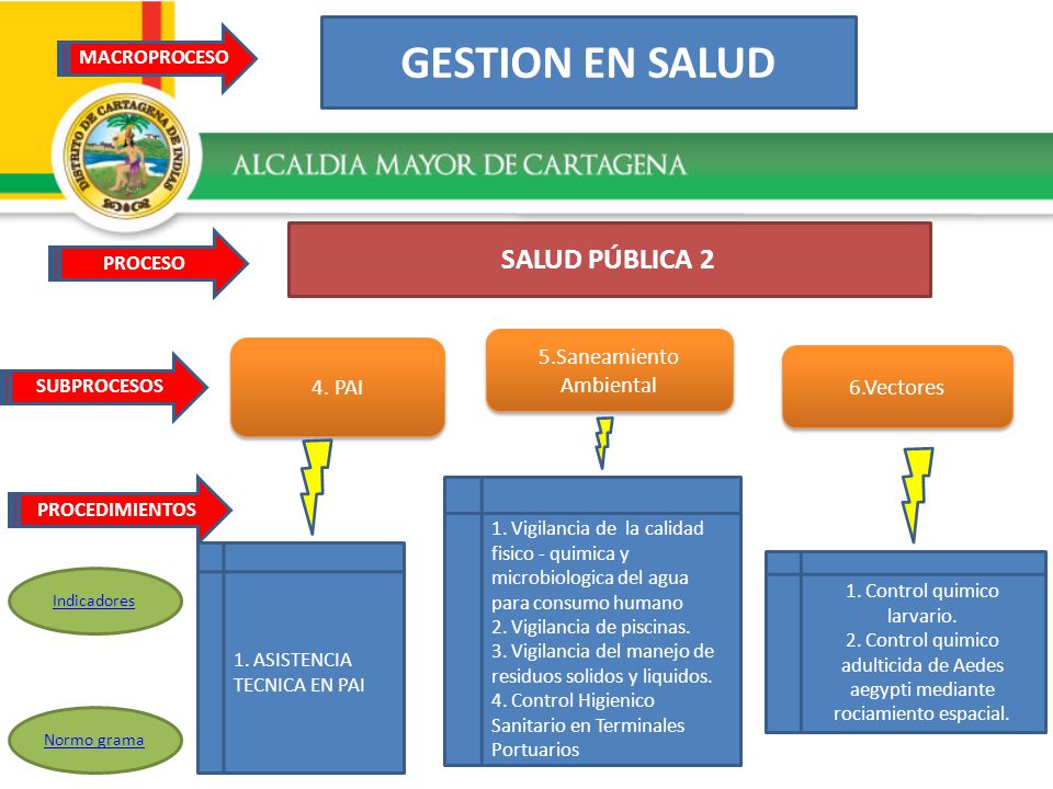 GESTION EN SALUD SALUD PÚBLICA 2 5.Saneamiento Ambiental 4. PAI