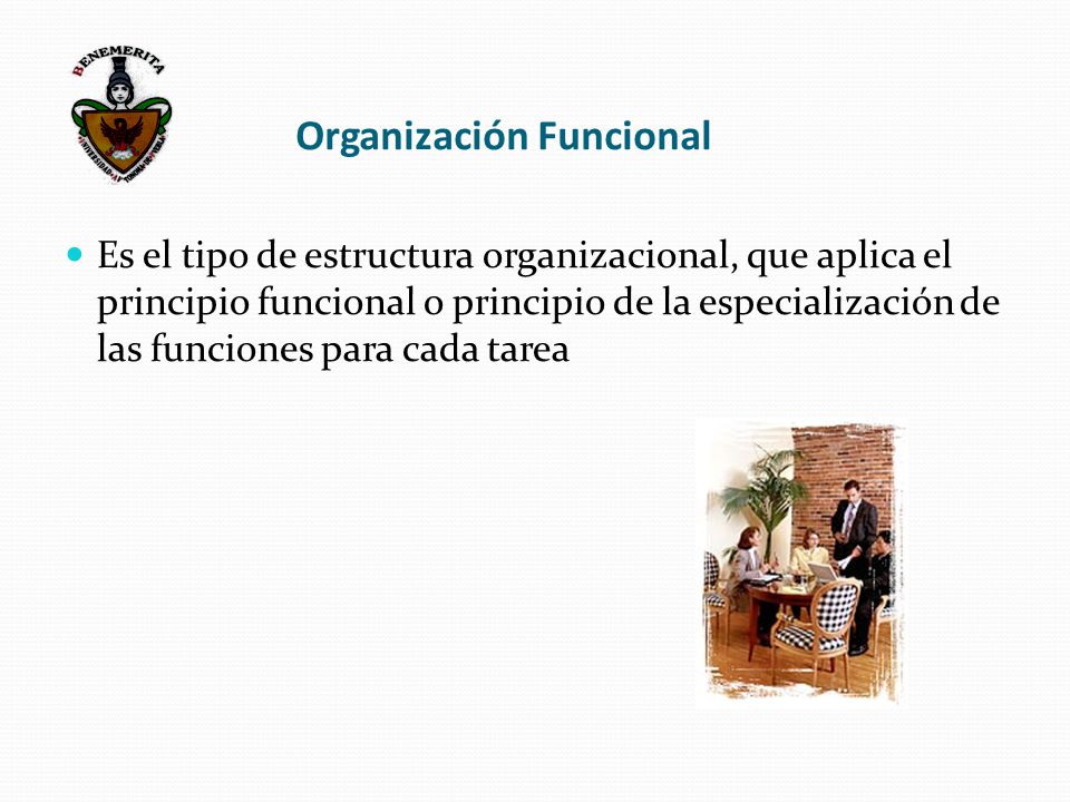 Organización Funcional