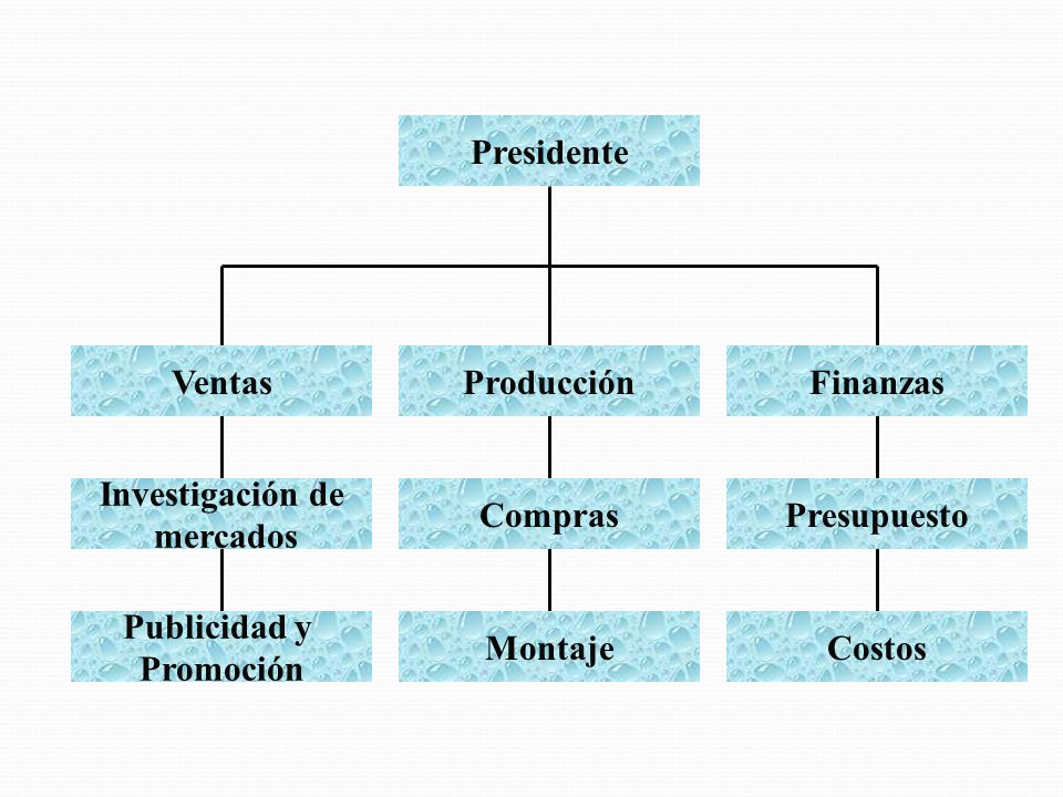 Presidente Finanzas. Producción. Ventas. Presupuesto. Compras. Investigación de. mercados. Costos.