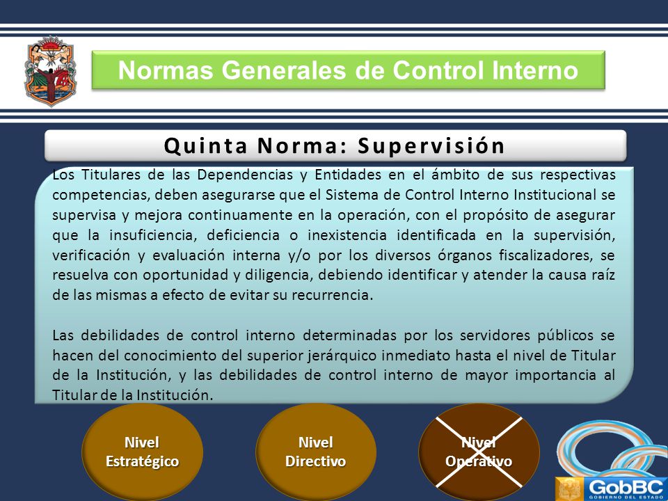 Normas Generales de Control Interno Quinta Norma: Supervisión
