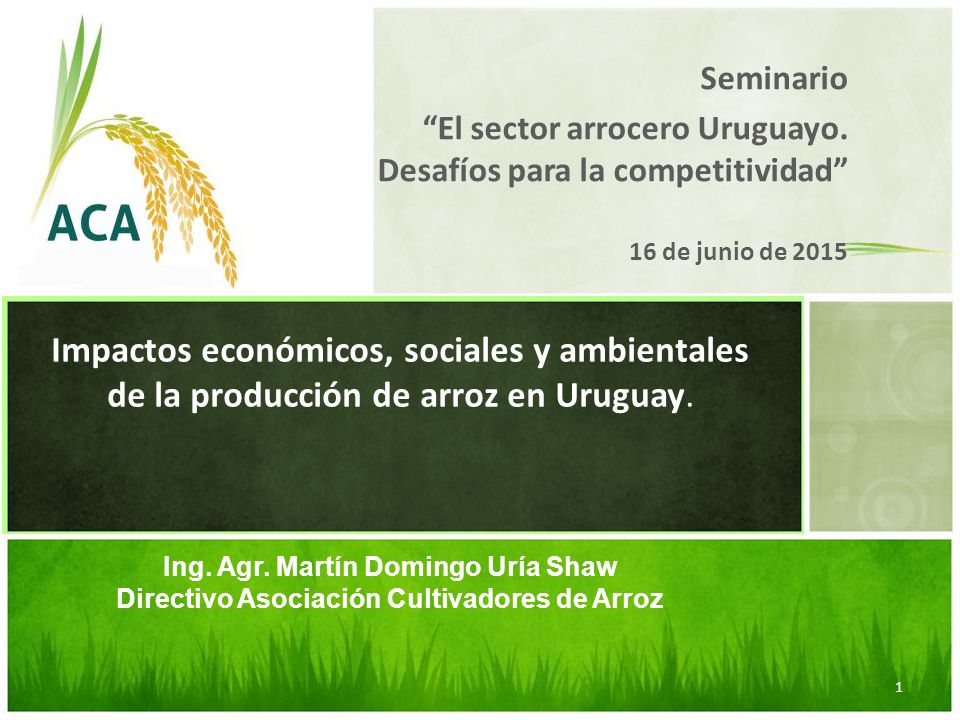 Seminario El sector arrocero Uruguayo. Desafíos para la competitividad 16 de junio de