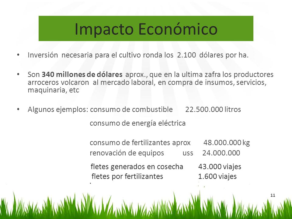 Impacto Económico Inversión necesaria para el cultivo ronda los dólares por ha.