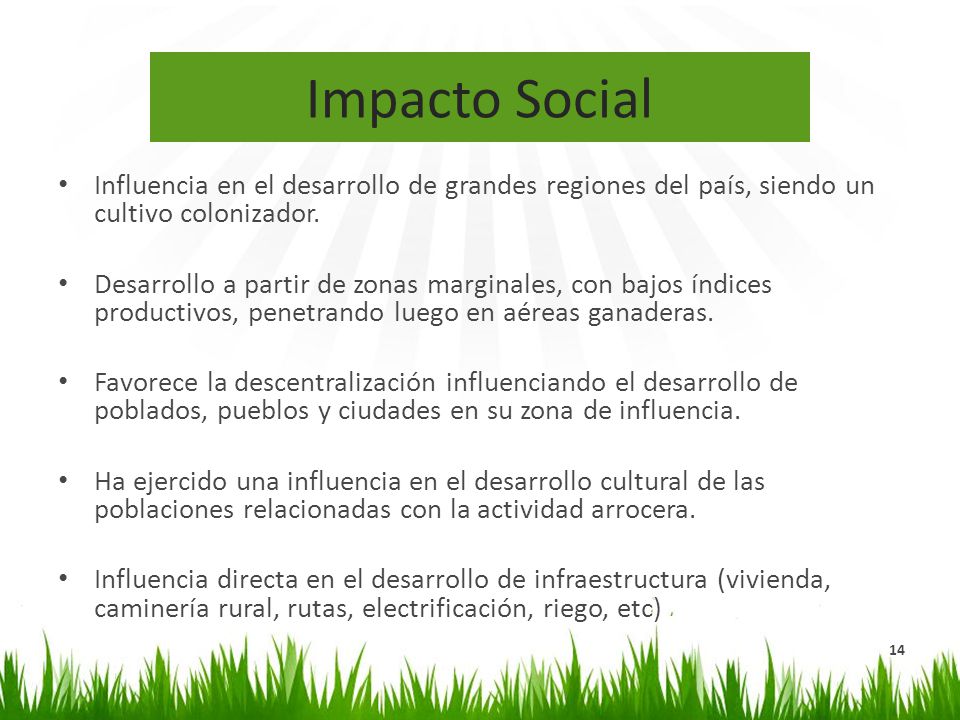 Impacto Social Influencia en el desarrollo de grandes regiones del país, siendo un cultivo colonizador.