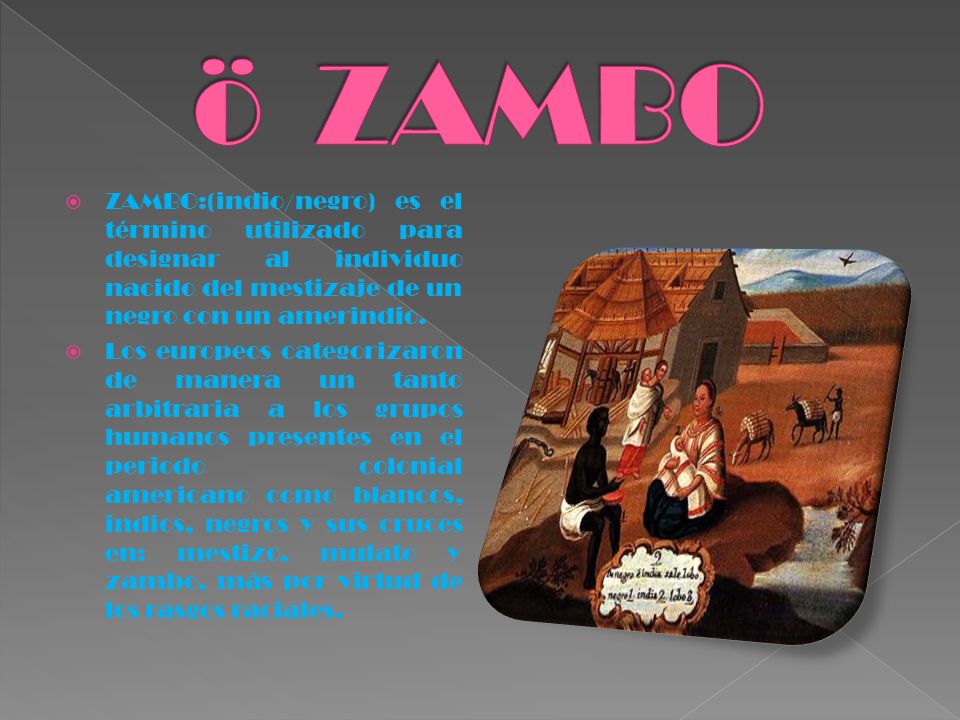 ZAMBO ZAMBO:(indio/negro) es el término utilizado para designar al individuo nacido del mestizaje de un negro con un amerindio.