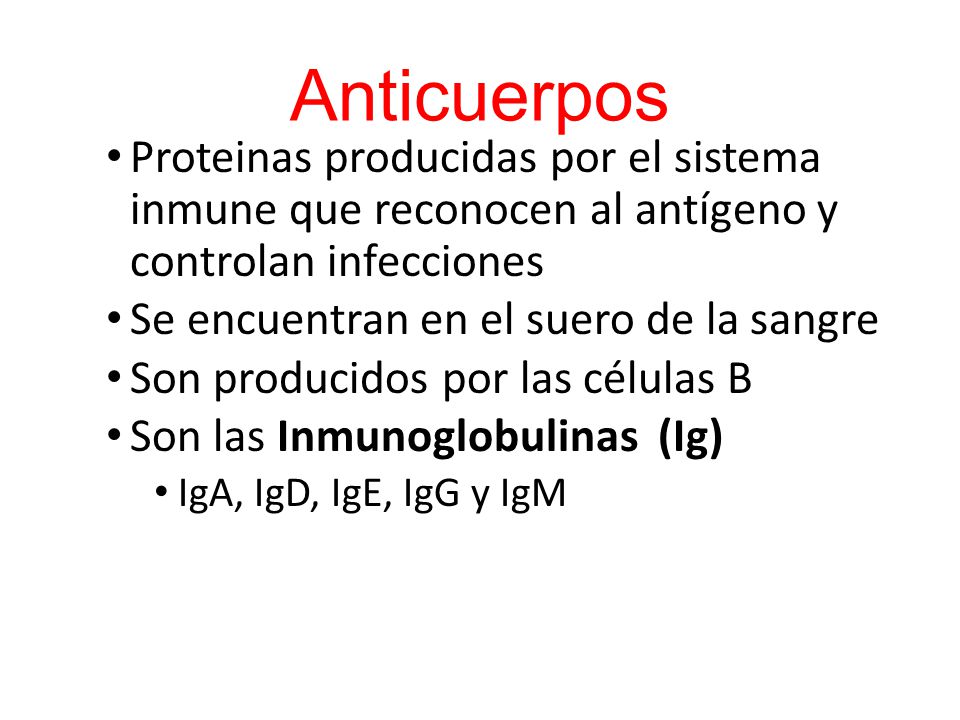 Anticuerpos Proteinas producidas por el sistema inmune que reconocen al antígeno y controlan infecciones.
