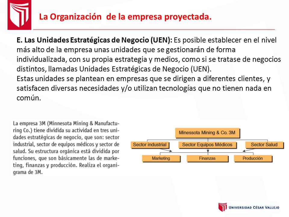 La Organización de la empresa proyectada.