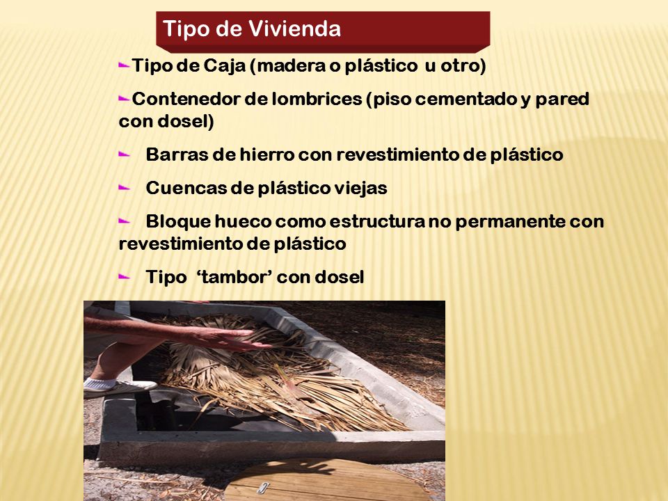 Tipo de Vivienda Tipo de Caja (madera o plástico u otro)