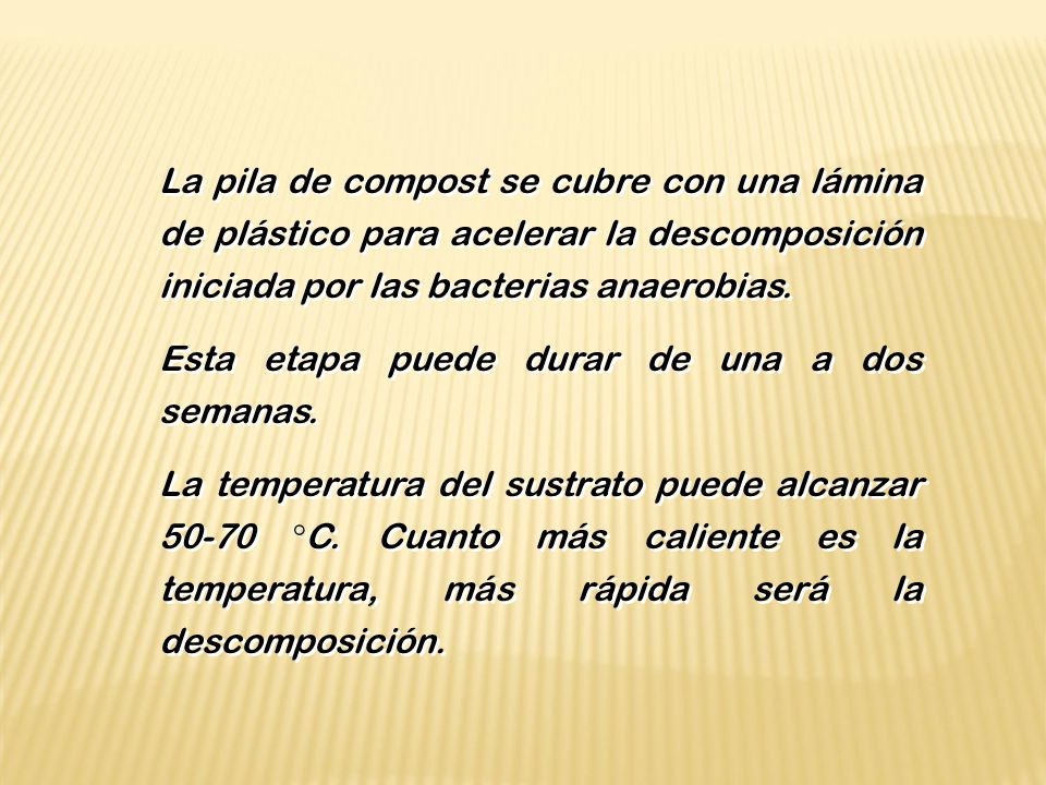 La pila de compost se cubre con una lámina de plástico para acelerar la descomposición iniciada por las bacterias anaerobias.