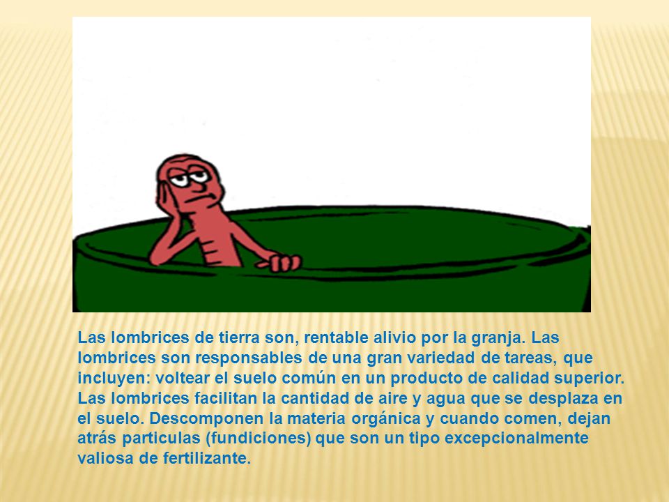 Las lombrices de tierra son, rentable alivio por la granja