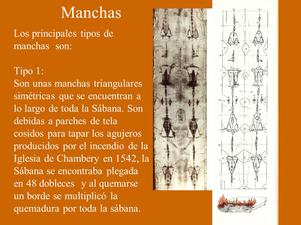 Manchas Los principales tipos de manchas son: Tipo 1: